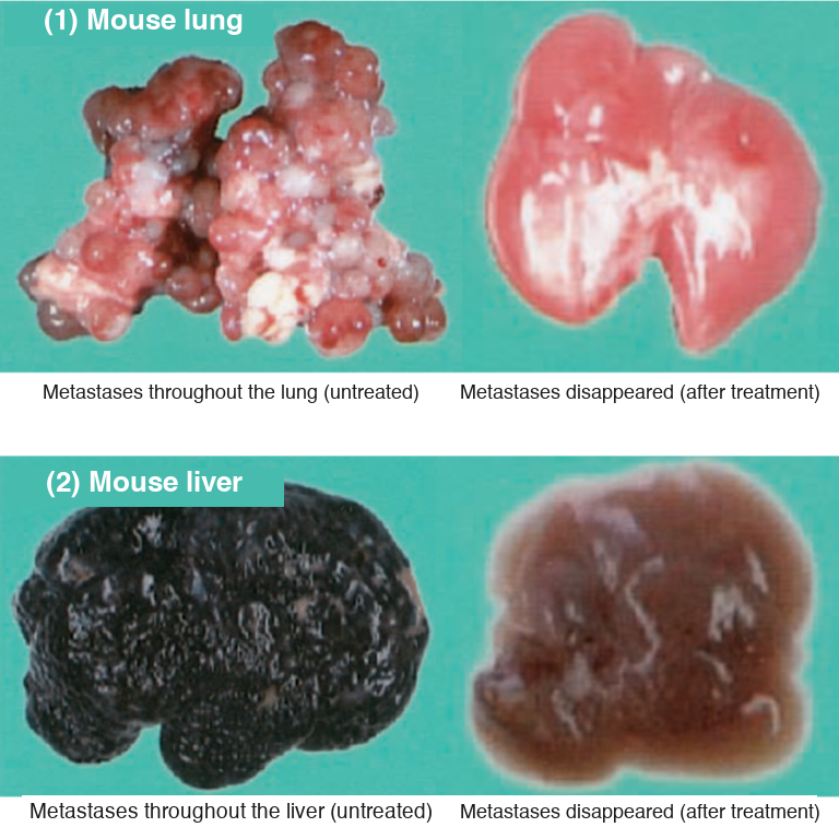 Animal study results