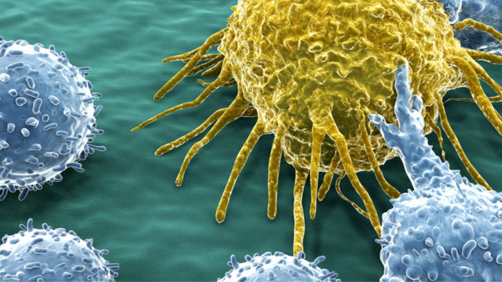 がん細胞と免疫細胞のイメージ