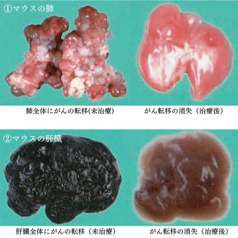 がん細胞を攻撃するNKT細胞のイメージ