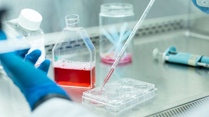 活性化工程のイメージ