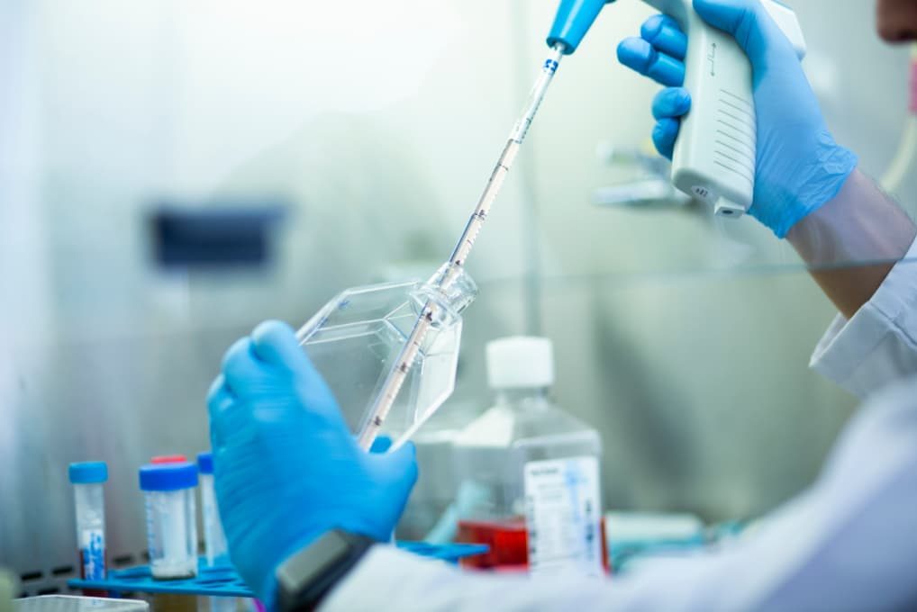 がん細胞と免疫細胞のイメージ