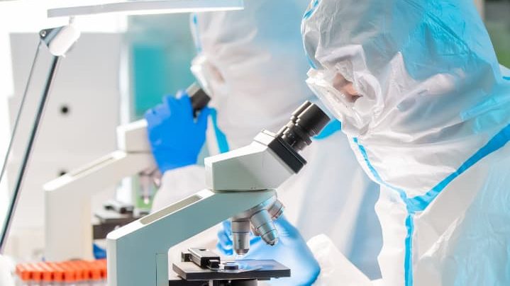 細胞培養のイメージ