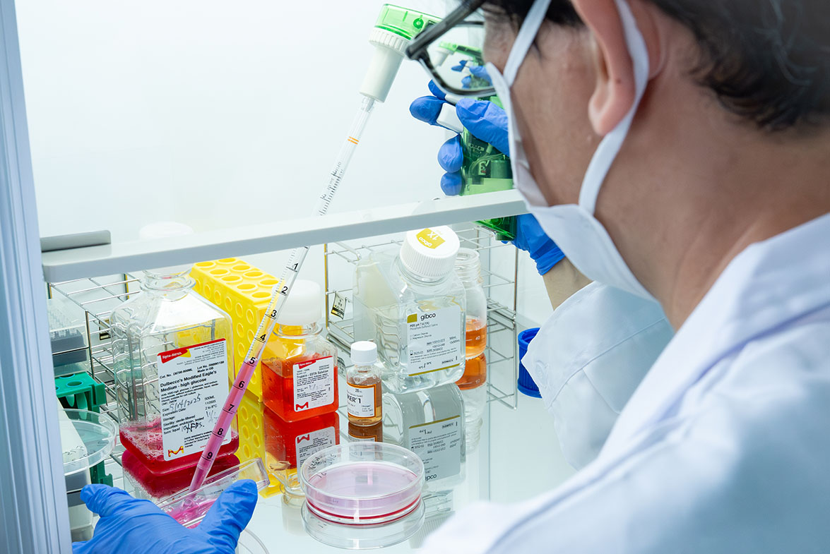 メインビジュアル6